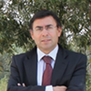 net_girio